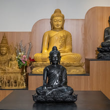 Load image into Gallery viewer, ကျွန်းနက် အောင်တော်မူမုဒြာ ဆင်းတုတော်