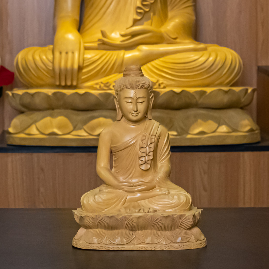 သရက္ခံ သမာပတ် မုဒြာ